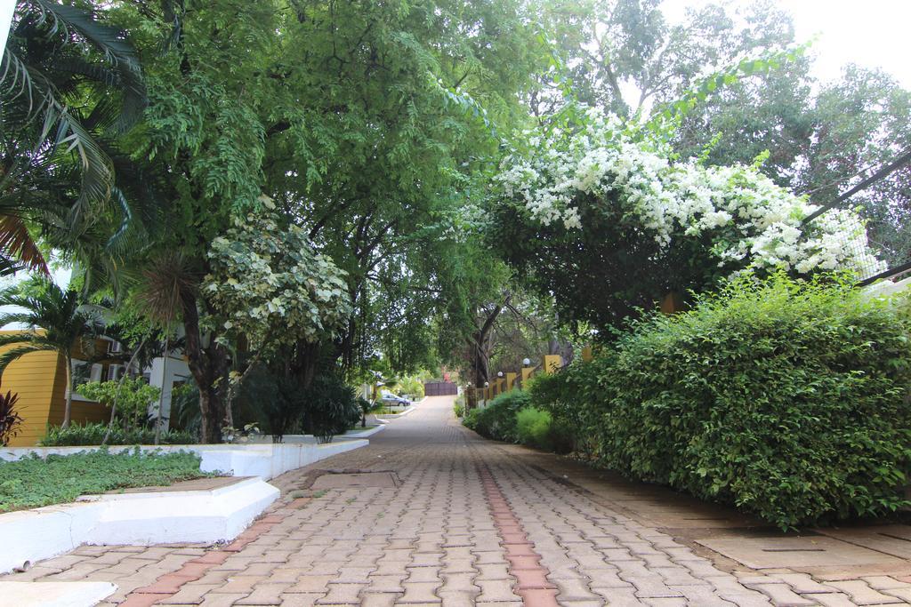 Rainforest - Casa Del Sol, Anjuna - 3 Kms From The Beach Ngoại thất bức ảnh