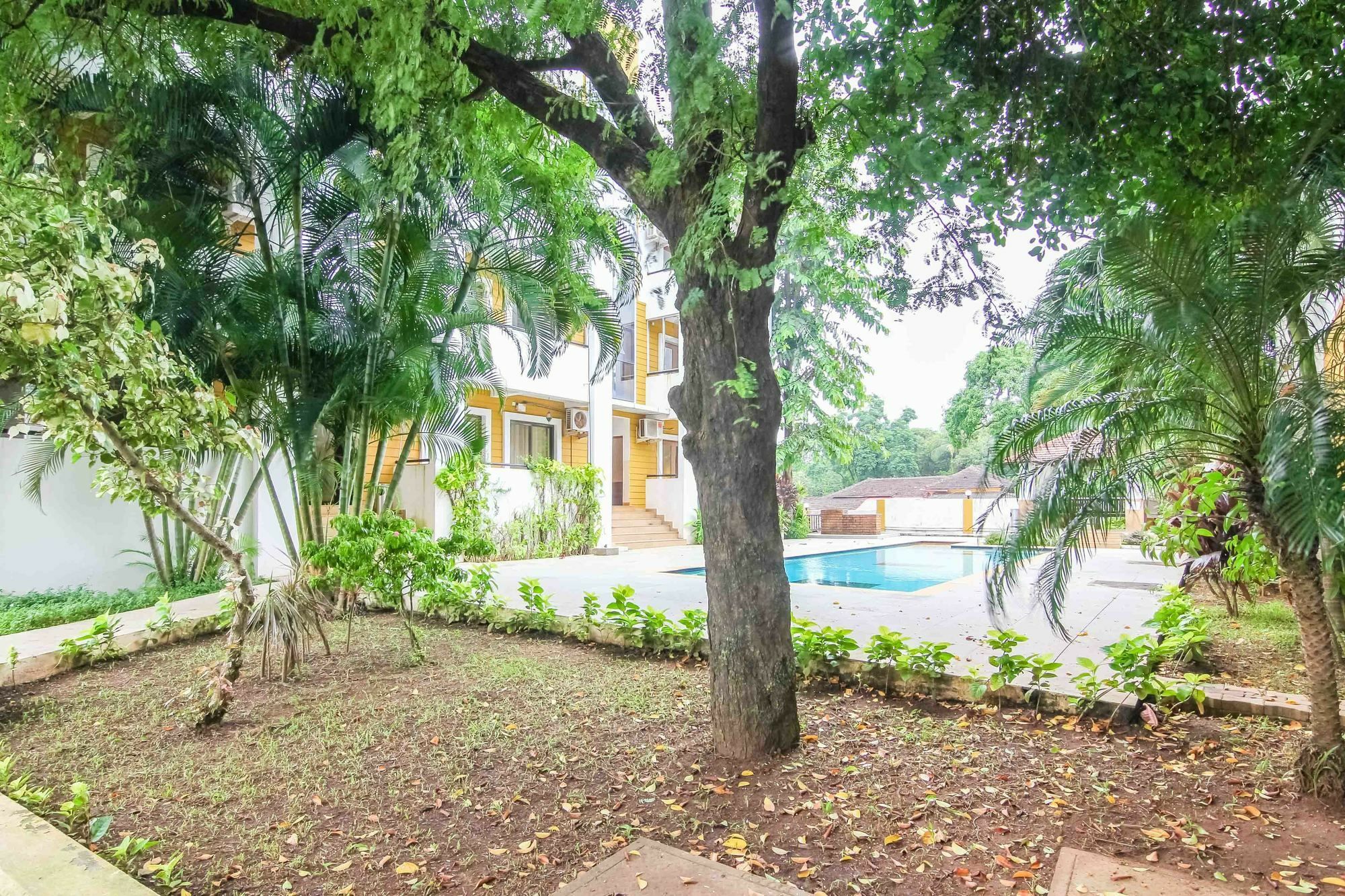 Rainforest - Casa Del Sol, Anjuna - 3 Kms From The Beach Ngoại thất bức ảnh